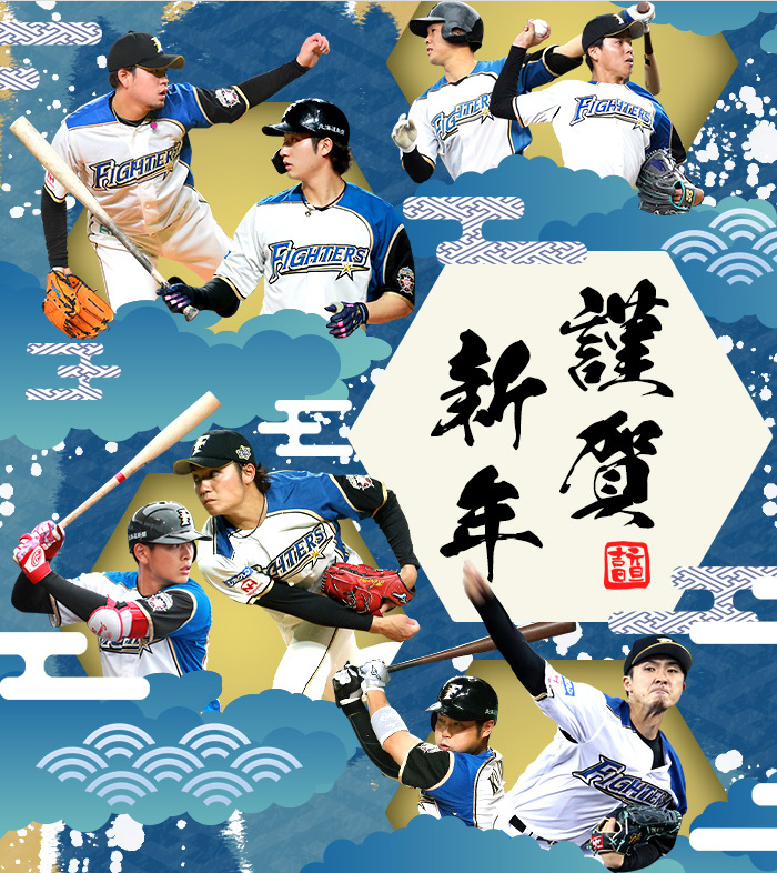 HOKKAIDO NIPPONHAM FIGHTERS Information